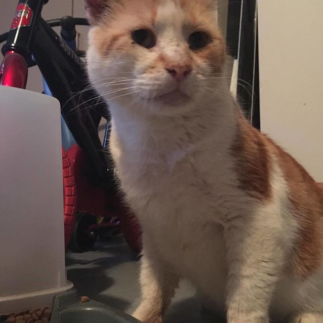 Photo of Butch And Teddy