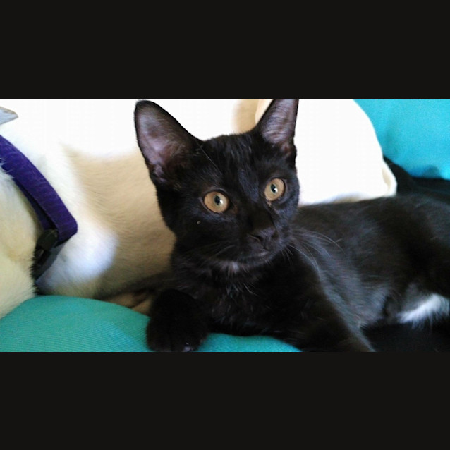 Photo of Ruby * $100 This Month Only! *