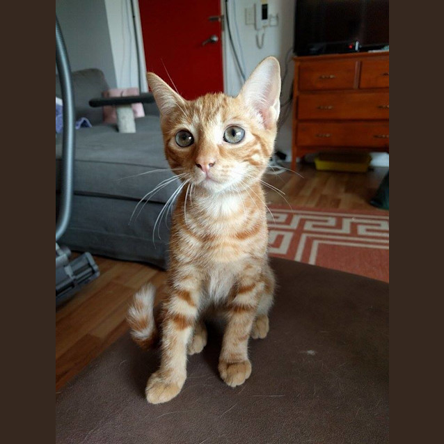 Photo of Winnie 