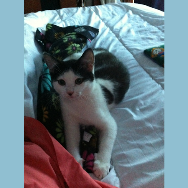 Photo of Finn
