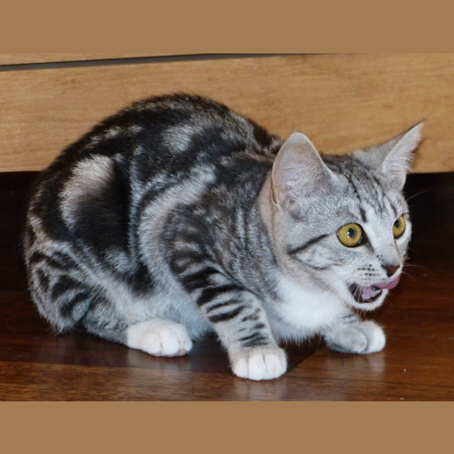Photo of Milly