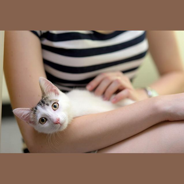 Photo of Cadbury   I'm Sweeter Than Chocolate!