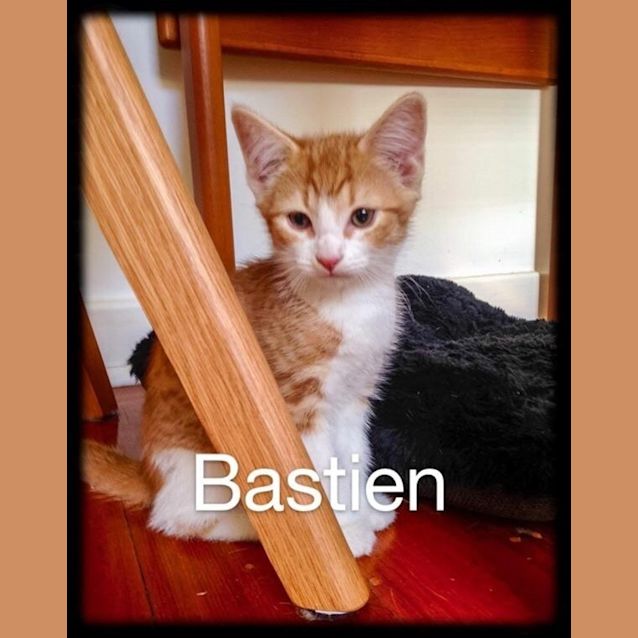 Photo of Bastein 