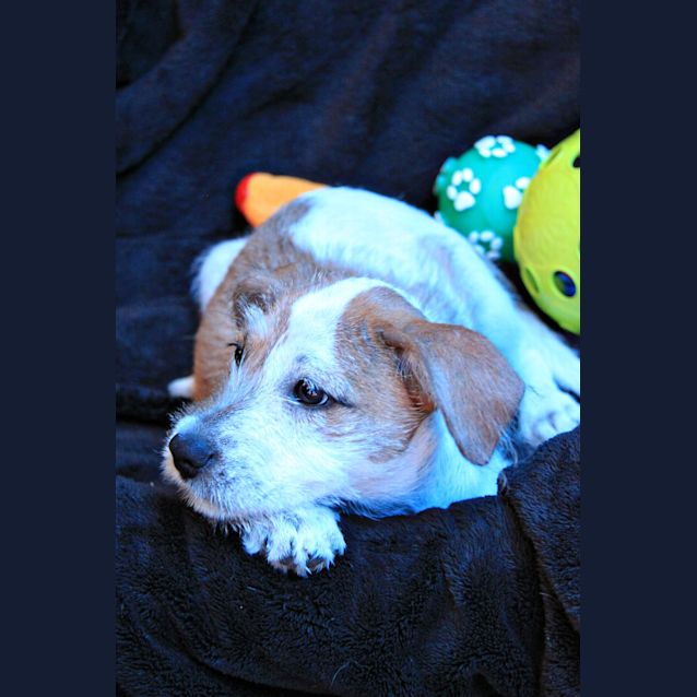 Photo of Esme