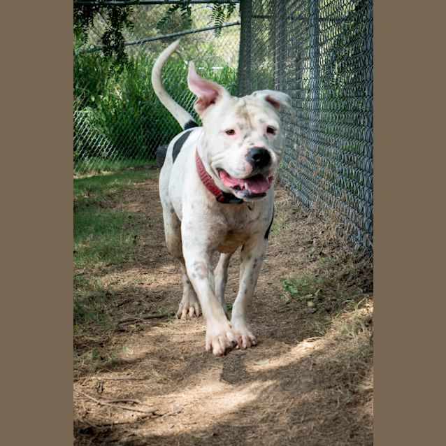 Photo of Lucy