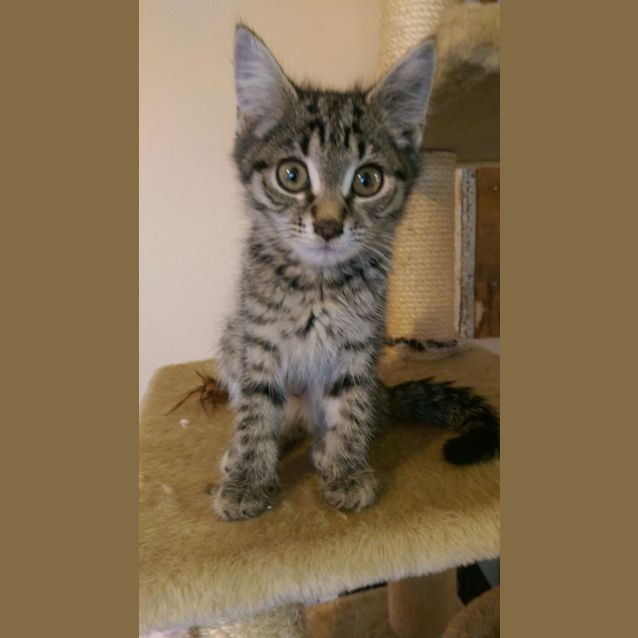 Photo of Alice