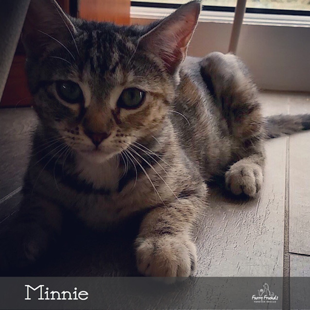 Photo of Minnie