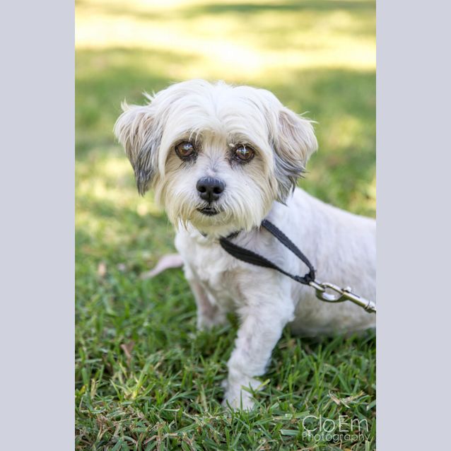 Photo of Rocco