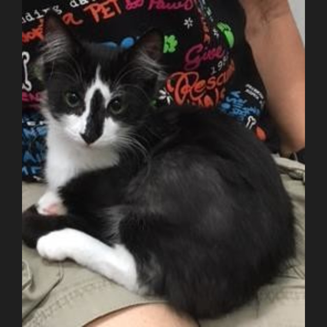 Photo of Bellatrix