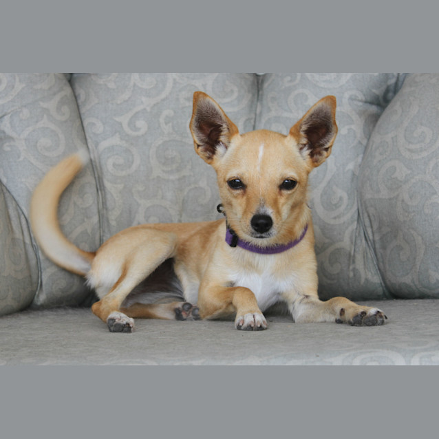 Photo of Mitzi
