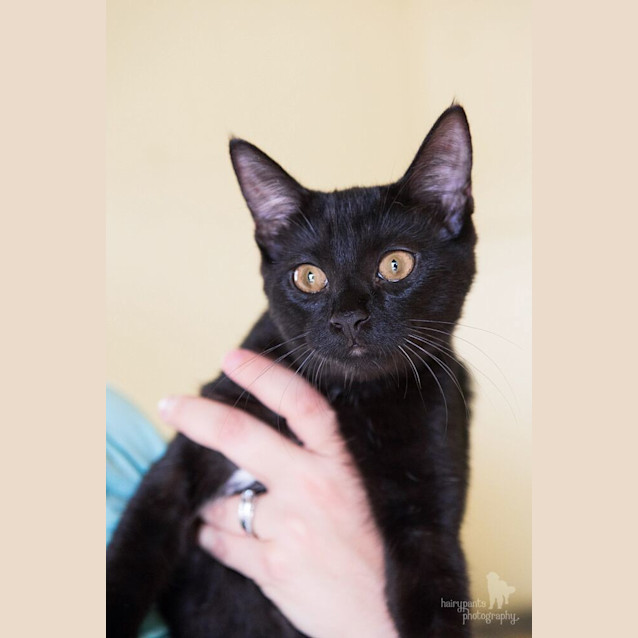 Photo of Ruby * $100 This Month Only! *