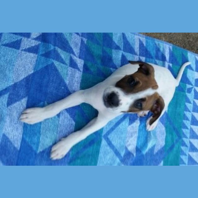 Photo of Maya
