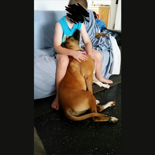 Photo of Nala