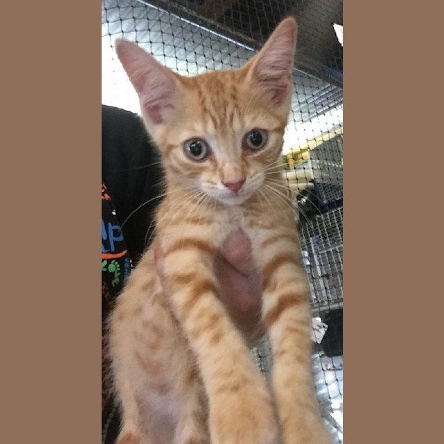 Photo of Milo