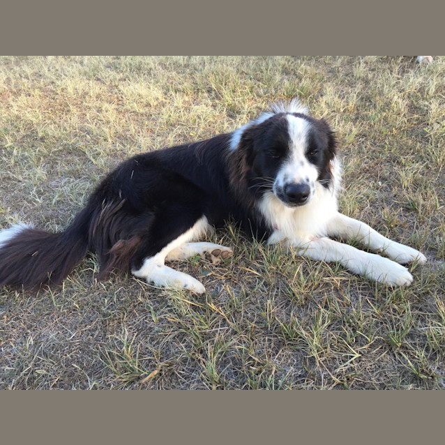 Photo of Sammy