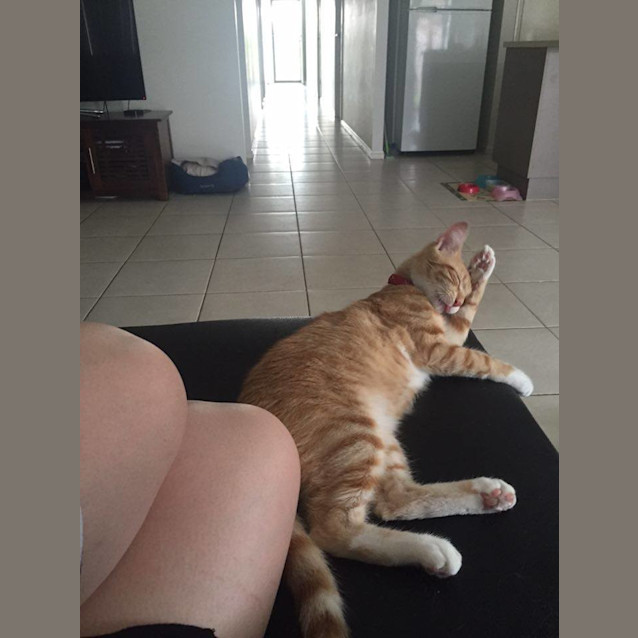 Photo of Boots