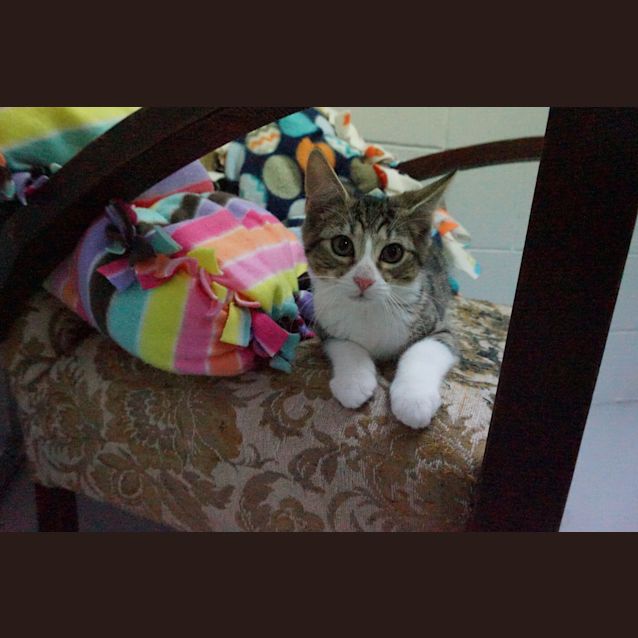 Photo of Norbert