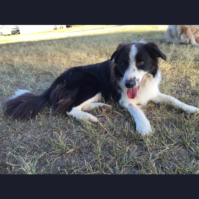 Photo of Sammy