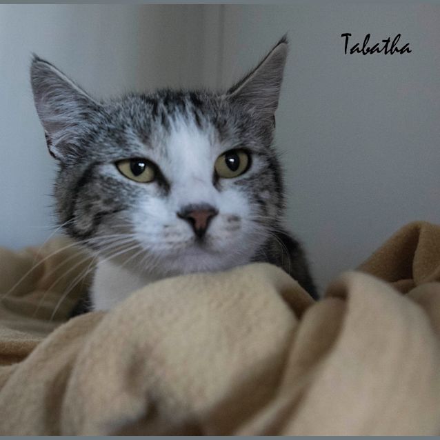 Photo of Tabatha Id29434