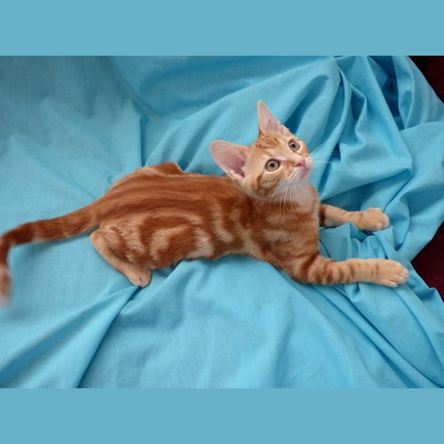 Photo of Colby