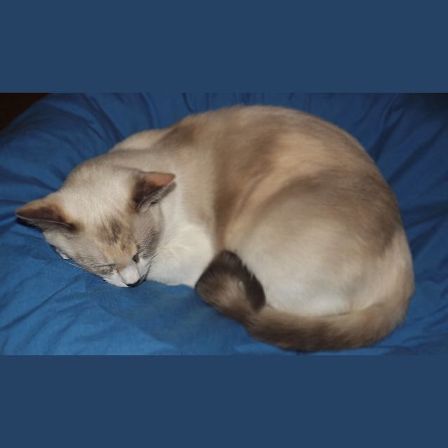 Photo of Elsa