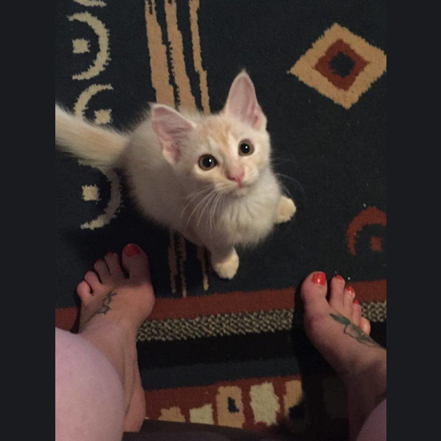 Photo of Angel * $100 For The This Month * Adoption Pending