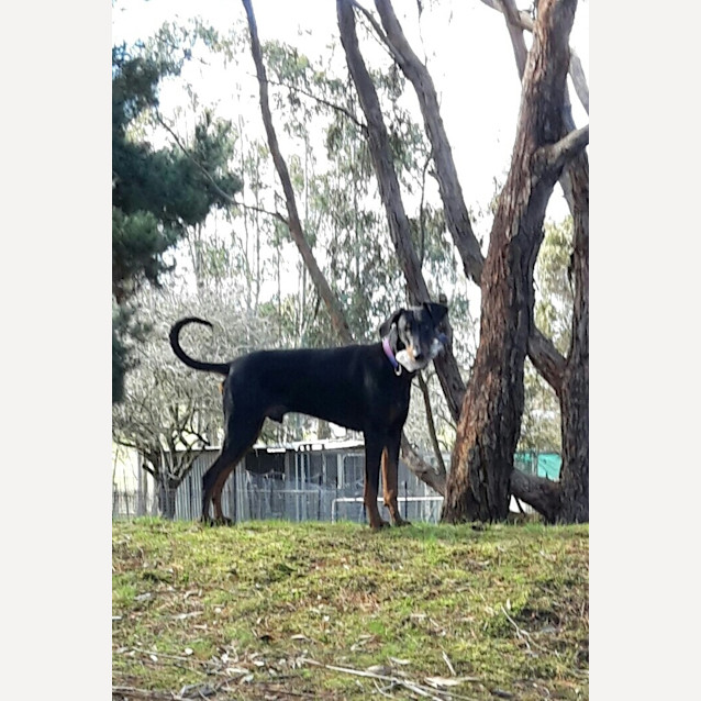 Photo of Derek