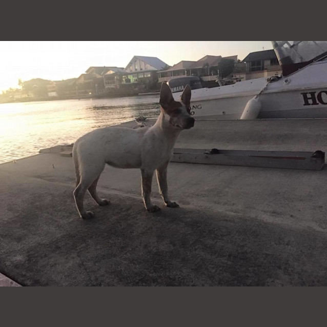 Photo of Missy
