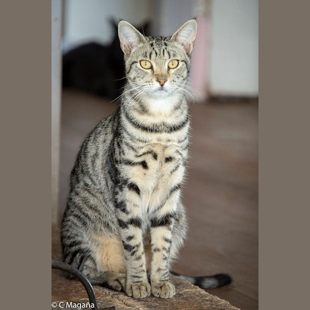 Photo of Benny Ec0131 