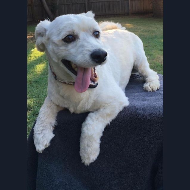 Photo of Benny