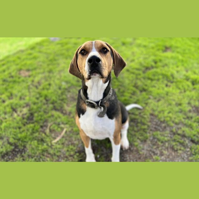 Photo of Oakley
