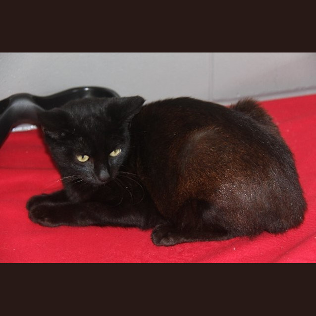 Photo of Mister