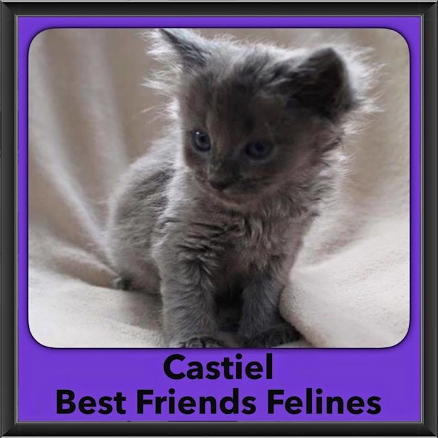 Photo of Castiel 