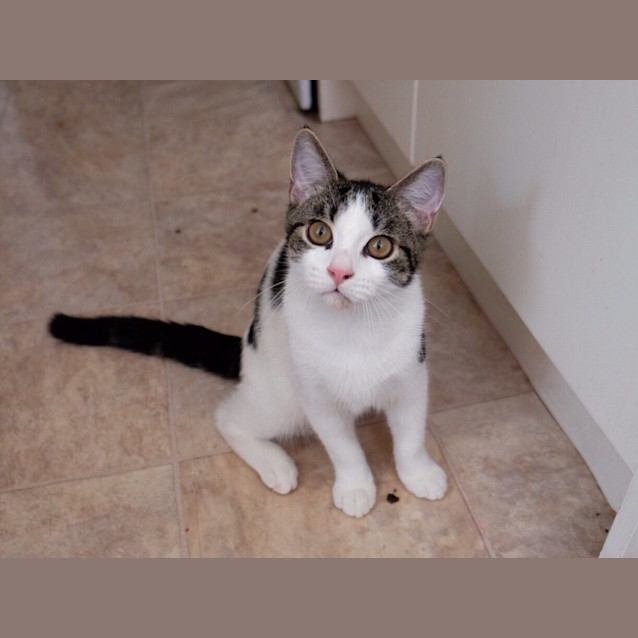 Photo of Trevor