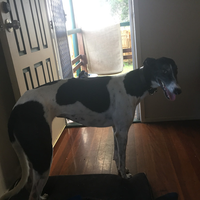 Photo of Abby