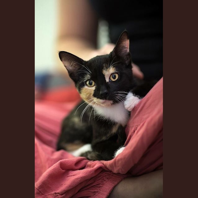 Photo of Cinnamon & Cashew