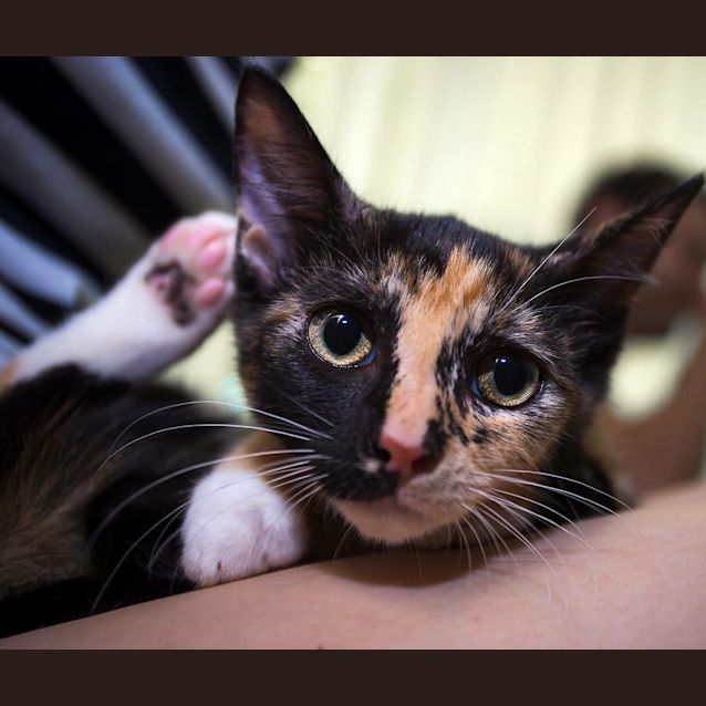 Photo of Cinnamon & Cashew