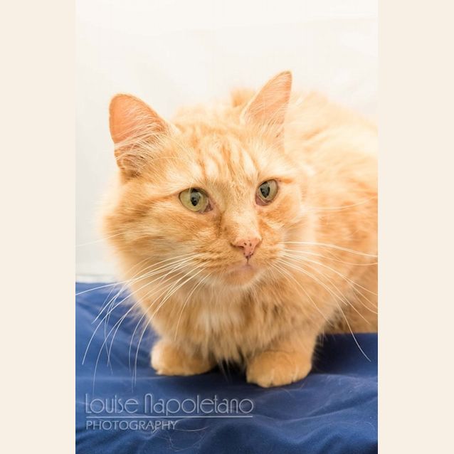 Photo of Witton (0882)