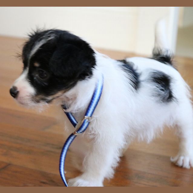 Photo of Kujo