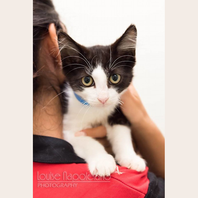 Photo of Walden (1118)