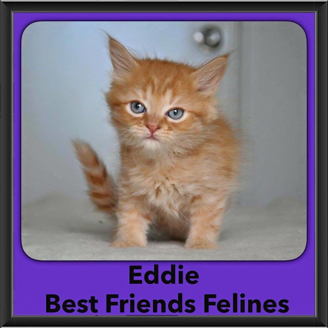 Photo of Eddie