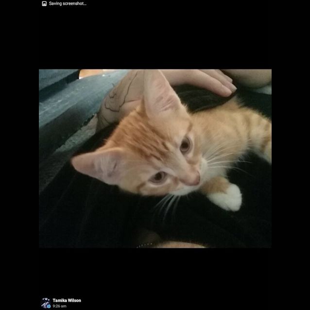 Photo of Toulouse