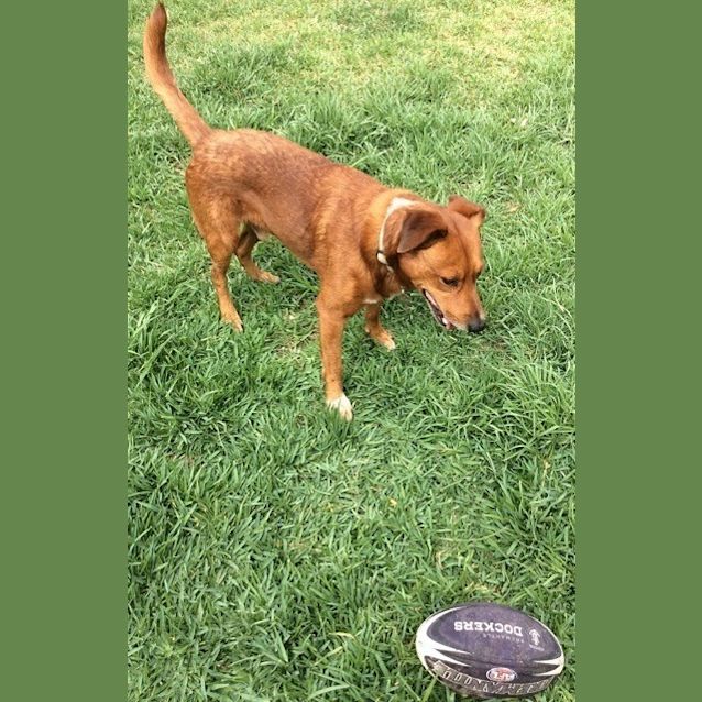 Photo of Henry Ed0038 