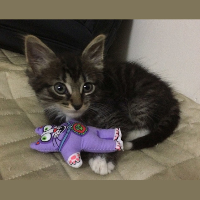 Photo of Charlie