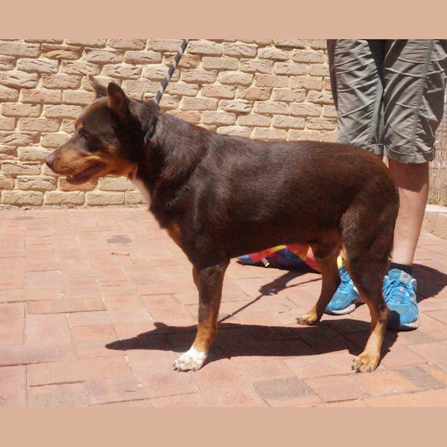 Photo of Ajax