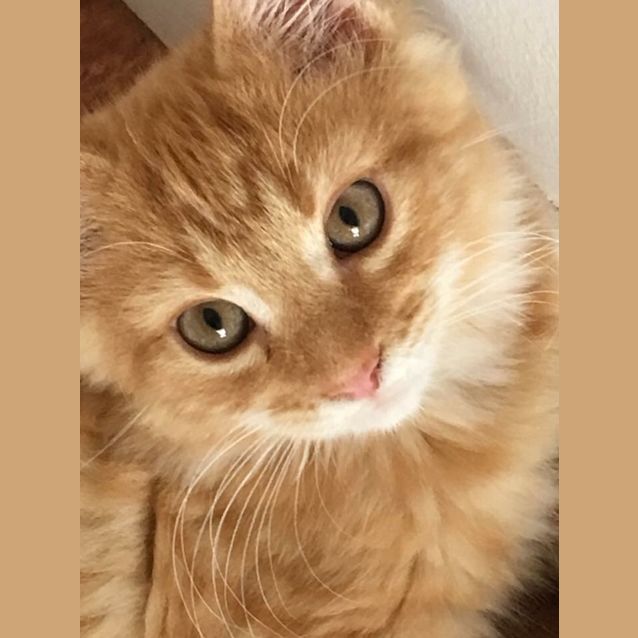 Photo of Charlie