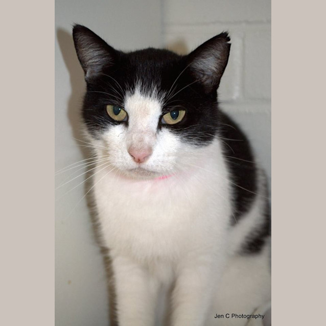 Photo of Afferton (0857)