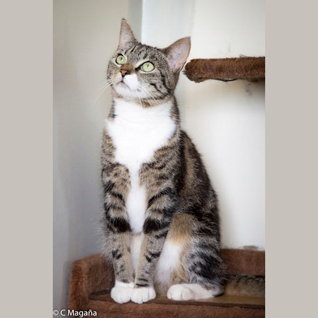 Photo of Flower   Ec0102