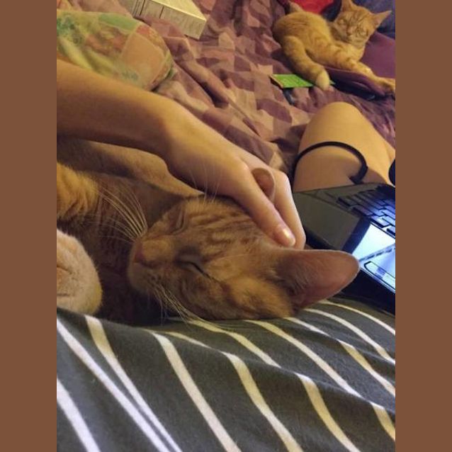 Photo of Beau Beau