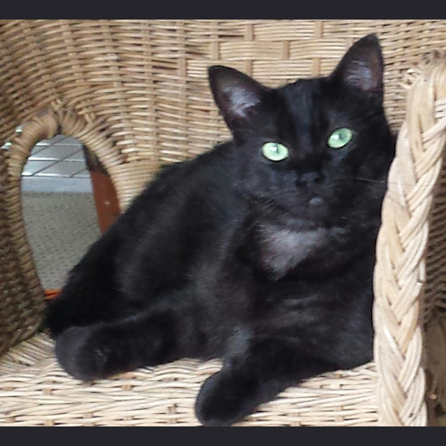 Photo of Heidi & Ziggy